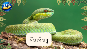 สาวเล่าฝันเห็นงูใหญ่ ตีเลขเด่น 3 ตัว คอหวยแห่จดก่อนหวยรัฐบาลงวดวันที่ 2 พฤษภาคมนี้