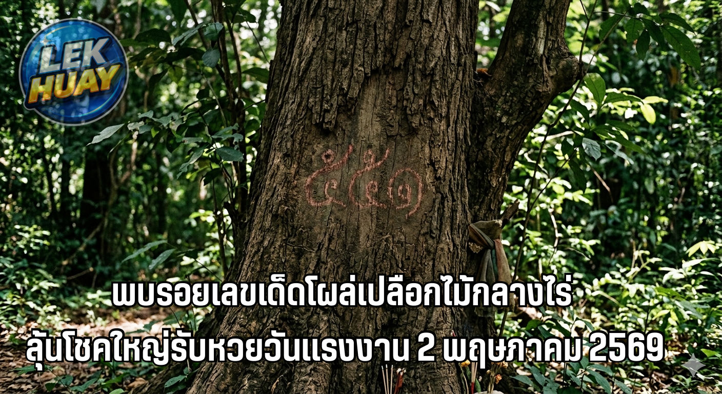 ฮือฮา! พบรอยเลขเด็ดโผล่เปลือกไม้กลางไร่ ชาวบ้านแห่ส่อง “551-51” ลุ้นโชคใหญ่รับหวยวันแรงงาน 2 พฤษภาคม 2569