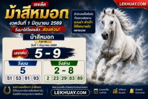 เลขเด็ด “ม้าสีหมอก” งวด 1 มิถุนายน 2569 ปล่อยเลขเด่นมาแล้ว คอหวยแห่จับตา!