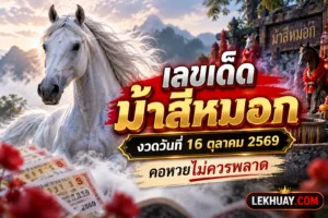 Read more about the article เลขเด็ดม้าสีหมอก งวดวันที่ 16 ตุลาคม 2569 คอหวยไม่ควรพลาด